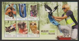 Australia - 2010,  Wildlife Caring,  Rescue To Release Sheet - Mnh - Sg Ms3498