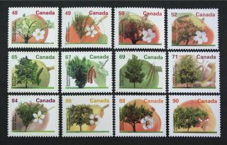 Canada 1991 - 95 Fruits Trees 1363 - 74 Complete Set Of 12 Stamps Nh