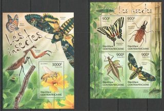 D117 2013 Central Africa Flora & Fauna Insects & Butterflies Insectes Kb,  Bl Mnh