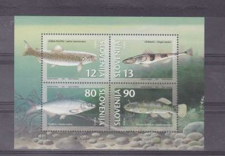 Slovenia 1997 Fish,  S/s Sc 290a Mnh L797