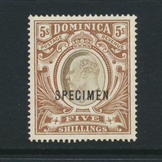 Dominica 1903,  5sh " Specimen " Vf Sg 36s (see Below)