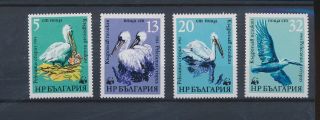 Lk55290 Bulgaria Wwf Pelican Animals Fauna Birds Fine Lot Mnh