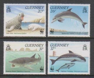 Guernsey - 1990,  Marine Life Set - Mnh - Sg 501/4