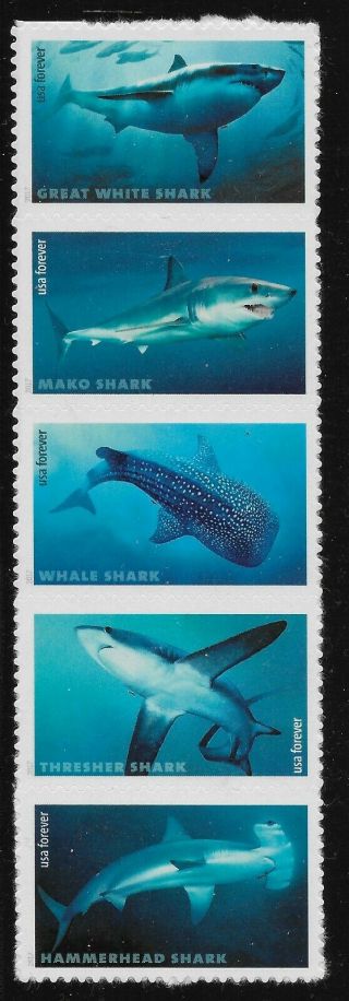 Us Scott 5223 - 27,  Strip Of 5 2017 Sharks Vf Mnh