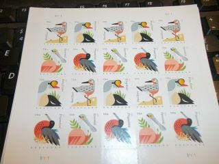 4991 - 94,  5 Sheets Of 20 Each Coastal Birds Postcard Forever Stamps (100 Stamps)