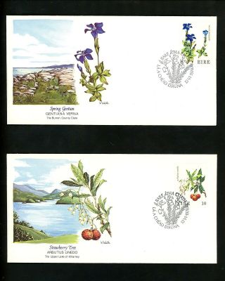 Postal History Ireland Fdc 428 - 431 Set Of 4 Plants Flowers Flora Fauna 1978