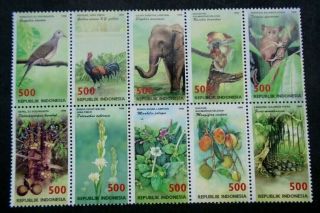 1998 Wildlife Animals Block 10 Stamp Vf Mnh Indonesia IndonesiË B230.  2 0.  99$