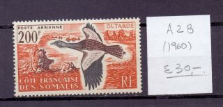 Somalia 1960.  Air Mail Stamp.  Yt A28.  €30.  00