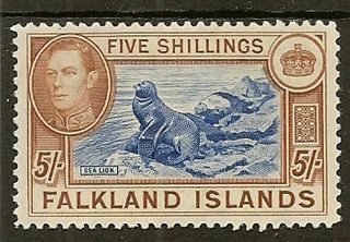 Falkland Islands 1938 - 50 Kgvi 5/ - Sea Lion Sg161c Lhm