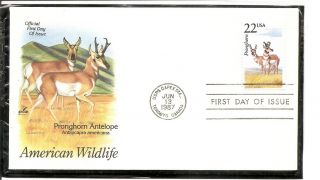 Us Sc 2313 American Wild Life - Pronghorn Antelope - Fdc.  Artcraft Cachet