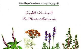 Medicinal Plants Pharmacy Health Medicine 2005 Tunisia Complete Booklet Mnh