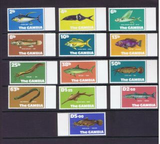 The Gambia 1971 Currency Marginal Fish Set Of 13 Unmounted Mnh