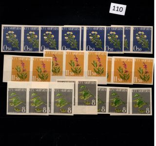 // 10x Albania - Mnh - Imperf - Nature - Flora - Flowers -