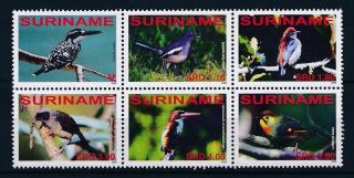 [su1570] Suriname Surinam 2008 Birds Mnh