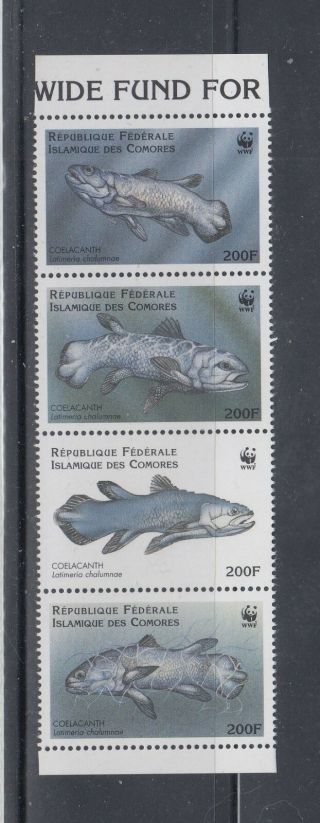 Comoros 1998 Wwf Coelacanth Fish Sc 833 Complete Never Hinged