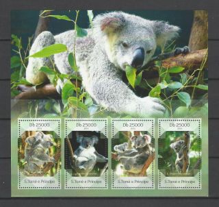 Sao Tome & Principe 2014 Sc 2711 Koalas Mnh Miniature Sheet $10.  50