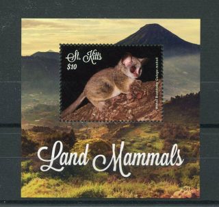 St Kitts 2016 Mnh Land Mammals Mohol Bushbaby 1v S/s Wild Animals Stamps