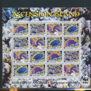 Gx03571 Ascension Island 2007 Fish Shell Coral Sealife Xxl Sheet Mnh