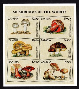 Zambia 1998 Sheet Of 6 Stamps Mi 850 - 855 Mnh Cv=10€