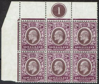 British Somaliland 1905 Kevii 2a Plate 1 Block Stamps Mnh Wmk Multi Crown Ca