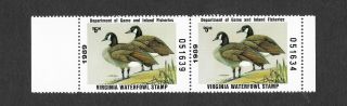 1989 Virginia State Duck Migratory Waterfowl Stamp Mnhog Hunter - Type Pair