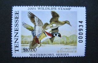 2001 Tennessee State Duck Migratory Waterfowl Stamp Mnhog