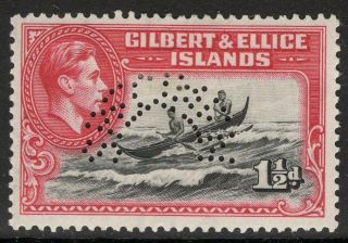 Gilbert & Ellice Is.  Sg45s 1939 1½d Perf Specimen Mtd