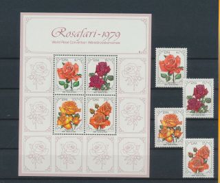 Lk84595 South Africa Roses Plants Nature Flowers Fine Lot Mnh