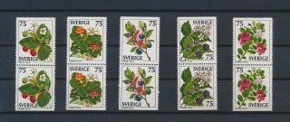 Lk84593 Sweden Berries Plants Nature Flowers Fine Lot Mnh