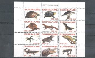 (856165) Crocodile,  Turtle,  Amphibians,  Reptiles,  Cameleon,  Suriname