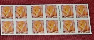 Five Booklets X 20 = 100 Peace Rose Us Ps Forever Postage Stamps Scott 5280