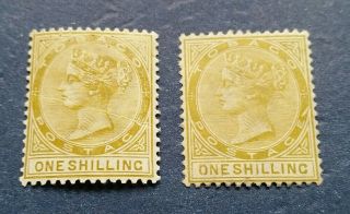 Tobago Stamps,  Scott 23 and Hinged,  One with a Slash above the E 2