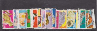 Equatorial Guinea - 16 X Colourful Cat Stamps - Cto