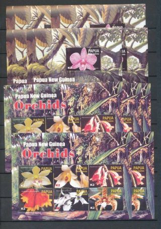 Papua Guinea Png 2004 Orchids Flowers Mnh Sheets X 10 (pap133)
