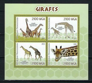 M2282 Nh 2015 Souvenir Sheet Of 4 Different Wild Animals Giraffes