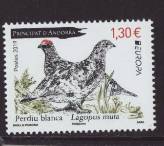 Andorra French 2019 Mnh - Europa - National Birds - Set Of 1 Stamp