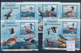 Gx03288 Comoros 2009 Animals Fauna Birds Sheets Mnh Cv 5 Eur