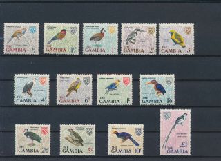 Lk63151 Gambia Animals Fauna Flora Birds Fine Lot Mnh