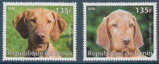 Vizsla Dogs 2 Different Mnh Stamps Vizs10