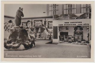 Germany Dr 1937 Pict.  Pc Hunting Expo (bulgaria) Berlin