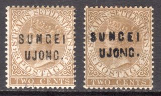 Malaya Sungei Ujong 1883 - 84 Opts On 2c Brown 2 Types M,  Un. ,  Sg 28,  30 Cat £130
