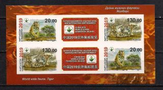 Kyrgyzstan.  2019 World Stamp Exhibition Wuhan.  Tiger.  Imperforated