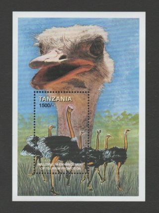 Tanzania 1999 Ostrich (tourism) M/sheet (sg Ms2162) Vf Mnh