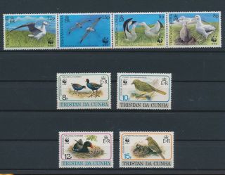 Lk76791 Tristan Da Cunha Animals Fauna Flora Birds Fine Lot Mnh