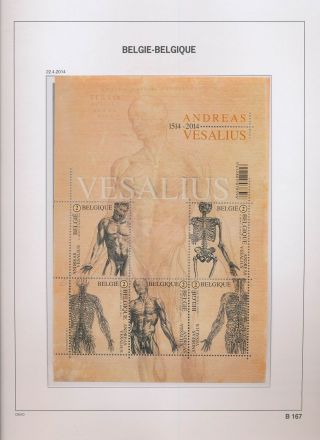 Xb68958 Belgium 2014 Vesalius Anatomy Art Good Sheet Mnh Fv 9,  5 Eur