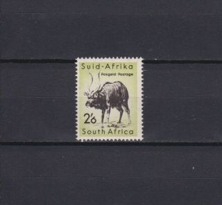 South Africa 1954,  Sc 211,  Animals,  Mnh