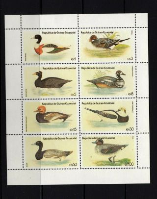 Equatorial Guinea Michel 1444 - 51 A - B Ducks Set Mnh Perf And Imperf Sheets