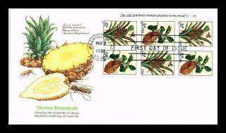 Dr Jim Stamps Us Merian Botanicals Combo First Day Cover Block Fleetwood