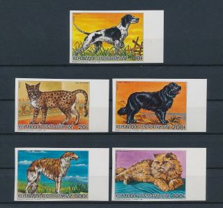 Lk59031 Central Africa Imperf Cats & Dogs Pets Animals Fine Lot Mnh