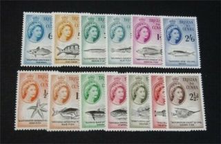 Nystamps British Tristan Da Cunha Stamp 28//40 Og Nh $40